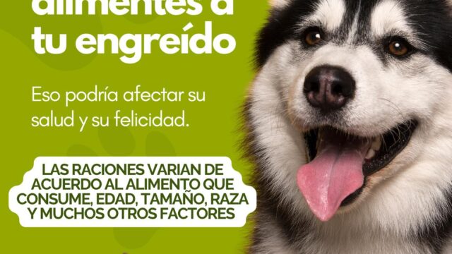 550568836_1355955853206588_6951676165361629103_n