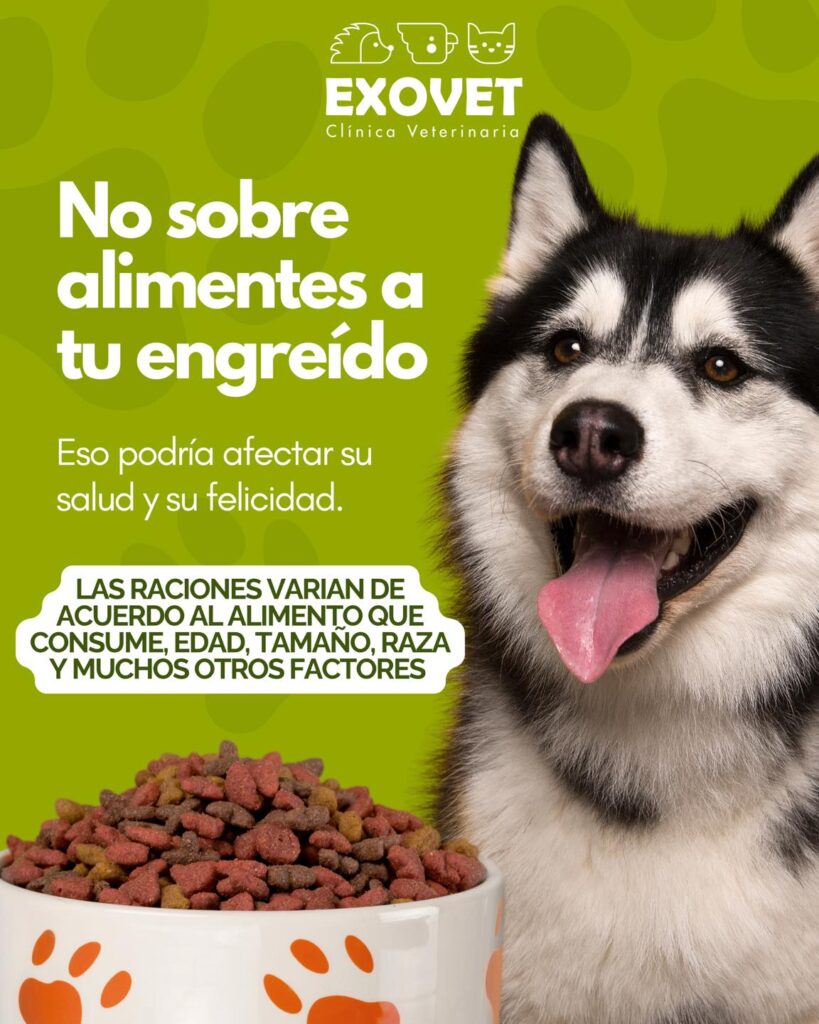 550568836_1355955853206588_6951676165361629103_n