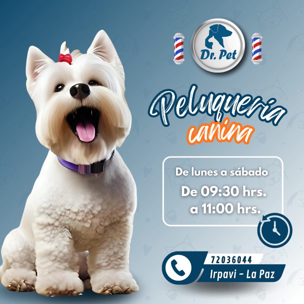 550816443_1501039061738128_3205939327970922248_n