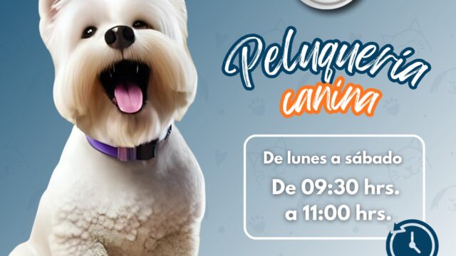 550816443_1501039061738128_3205939327970922248_n