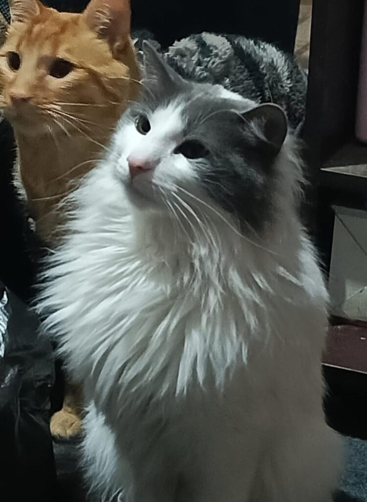 553221544_1314671560446686_1597110429238173640_n