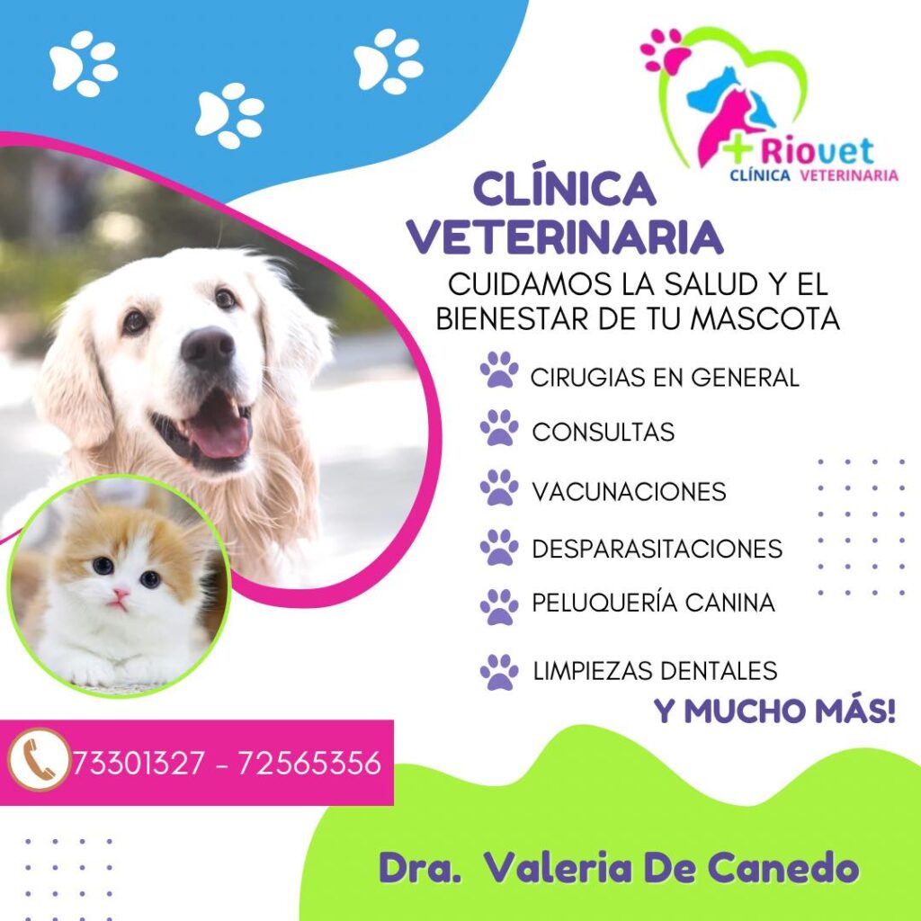 553459441_771511835639768_7832377643689213331_n