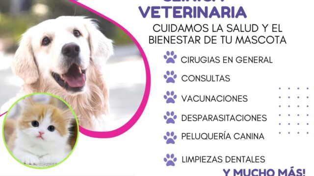 553459441_771511835639768_7832377643689213331_n