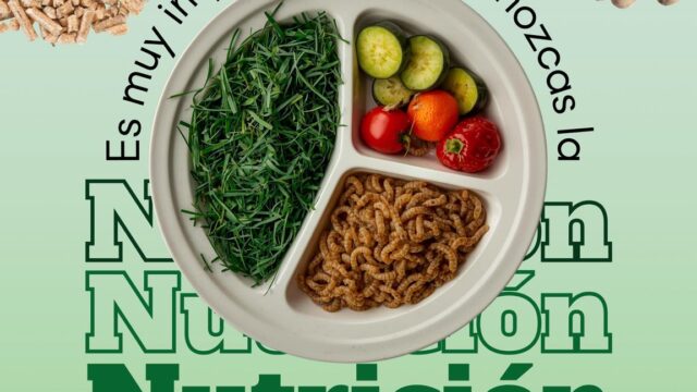 555085798_1359056516229855_6725696169239891743_n