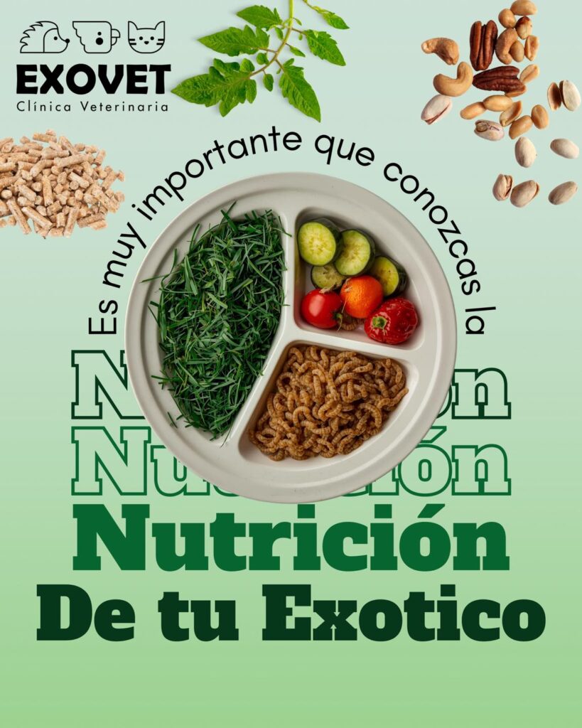 555085798_1359056516229855_6725696169239891743_n