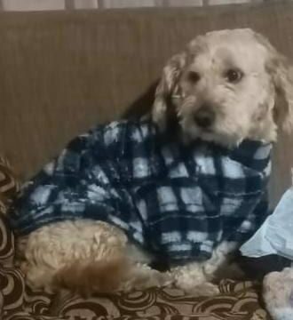 555676405_1213703634124569_8650421916618905275_n