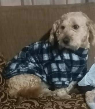 555676405_1213703634124569_8650421916618905275_n