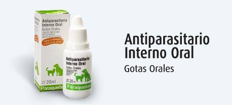 555803236_32131624699761922_8137939981205929357_n