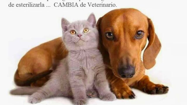 556037327_25482563134680217_3445938756639659127_n