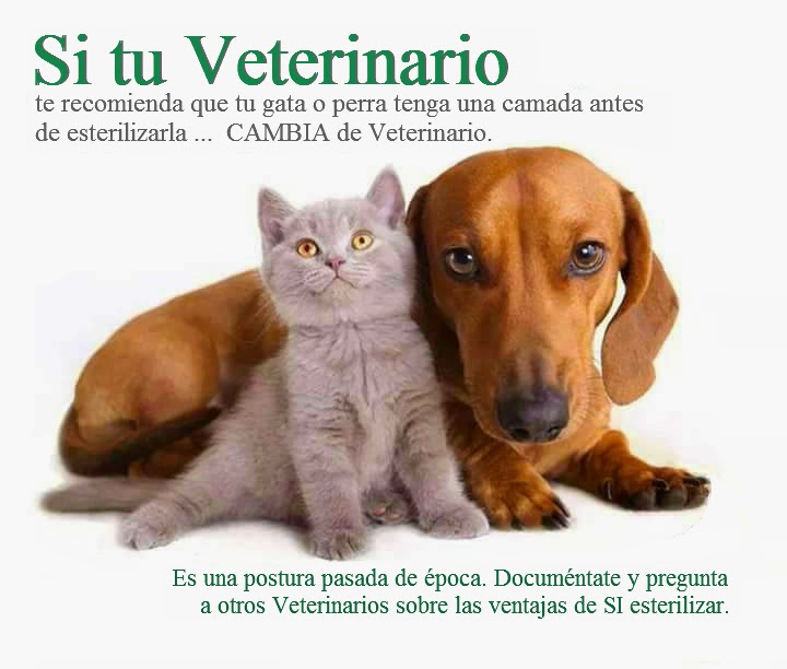 556037327_25482563134680217_3445938756639659127_n