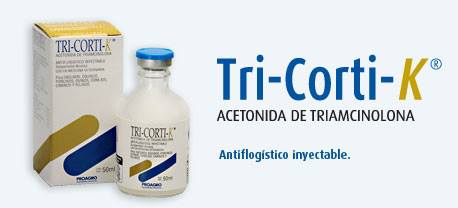 556630817_32131624679761924_7420961002672734742_n