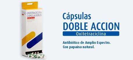 556969594_32131624703095255_5397807082729368354_n