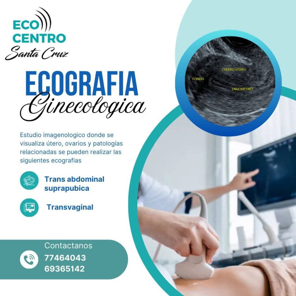 557925048_1264412185703716_8886001523237167890_n