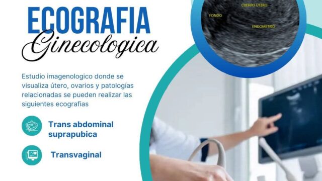 557925048_1264412185703716_8886001523237167890_n