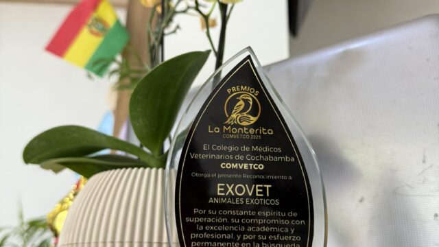 558612138_1368761585259348_225465980264508056_n