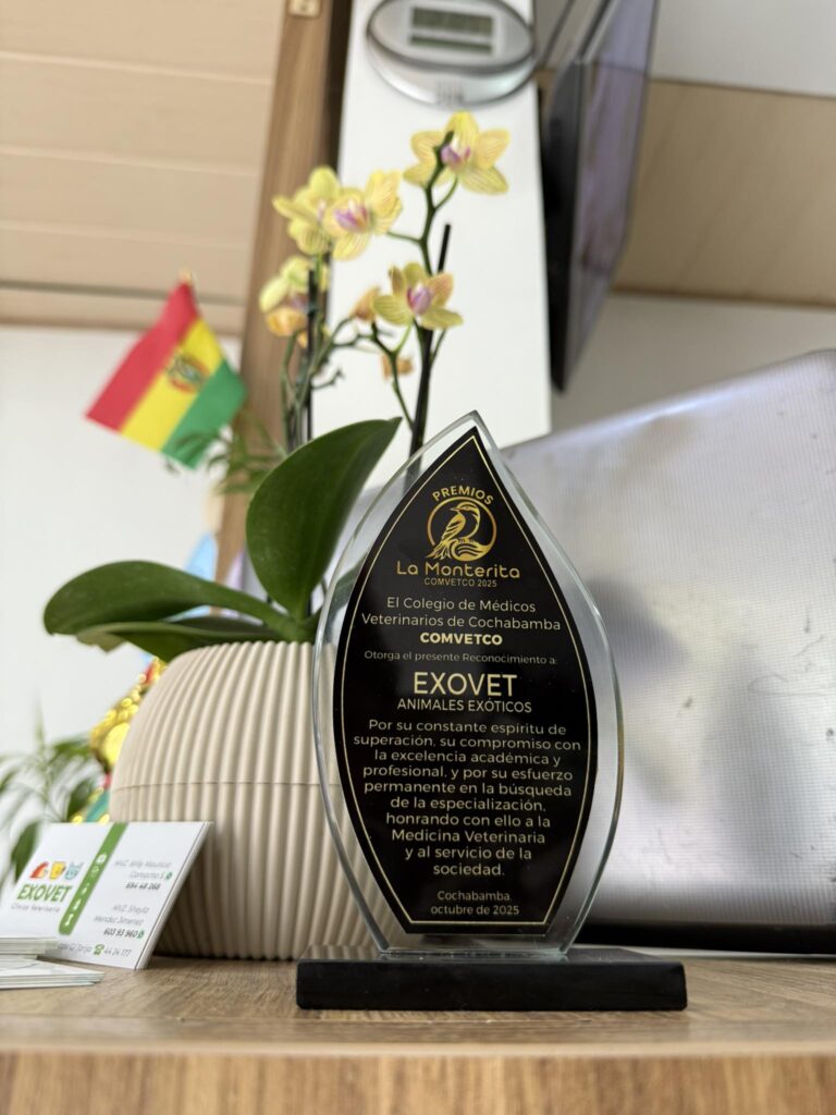 558612138_1368761585259348_225465980264508056_n