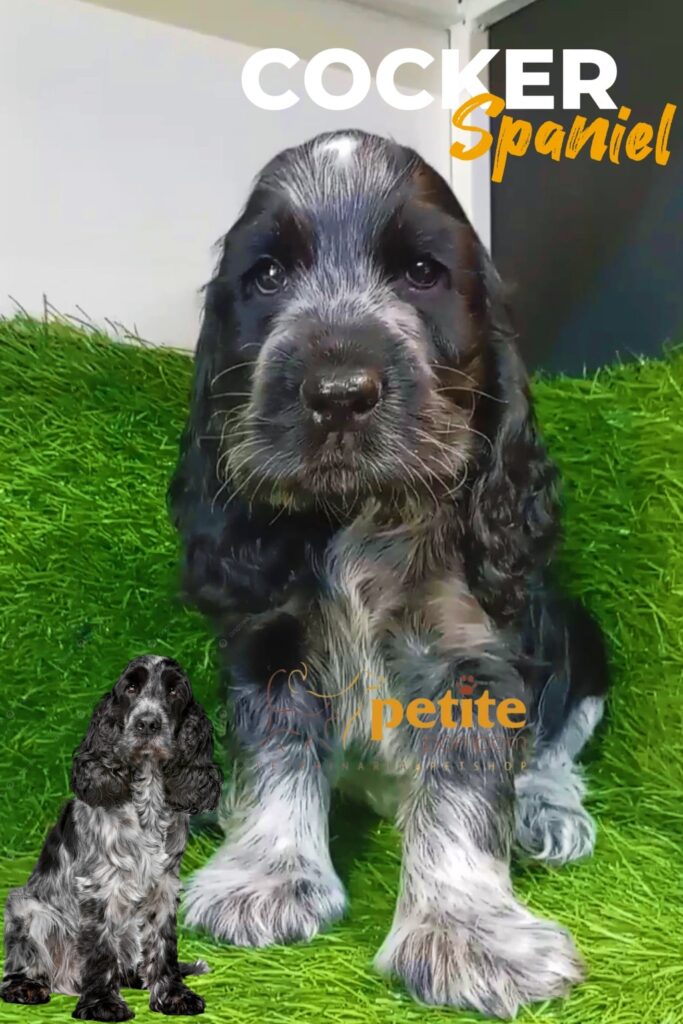 558872577_122142447260644714_1591215962667269792_n