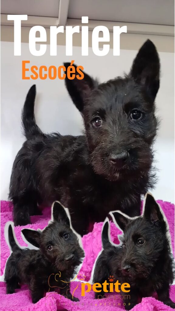 558971532_122141019050644714_3448737202997732589_n