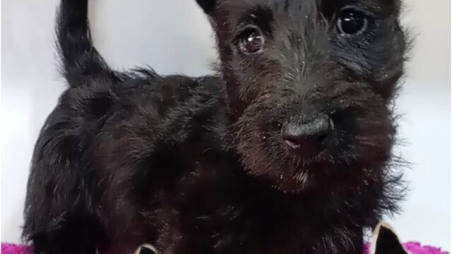 558971532_122141019050644714_3448737202997732589_n