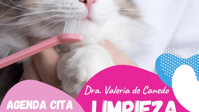 559005537_782423107881974_5942228413865926077_n