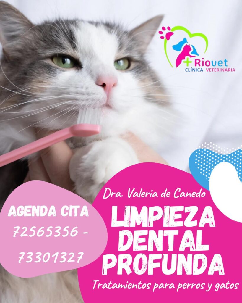 559005537_782423107881974_5942228413865926077_n