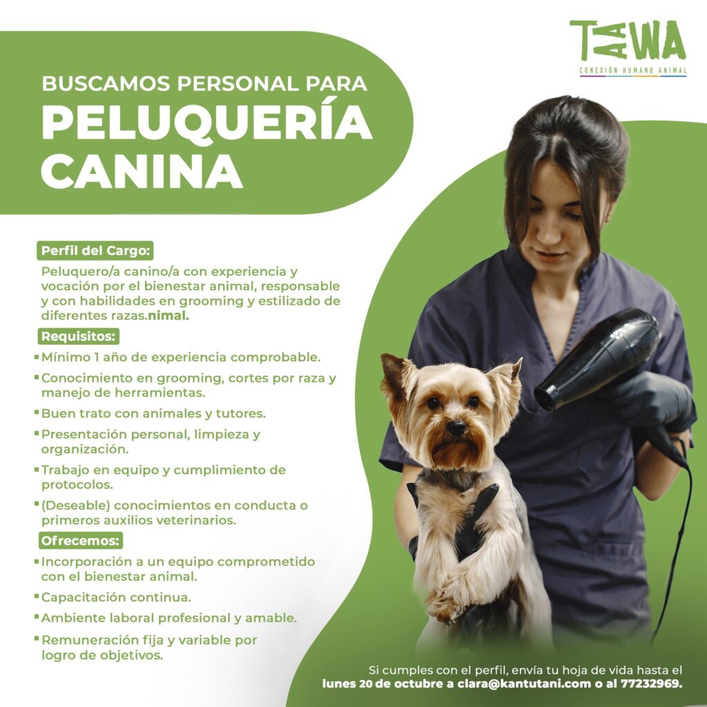 559532999_1334592384921648_7489309108733739229_n