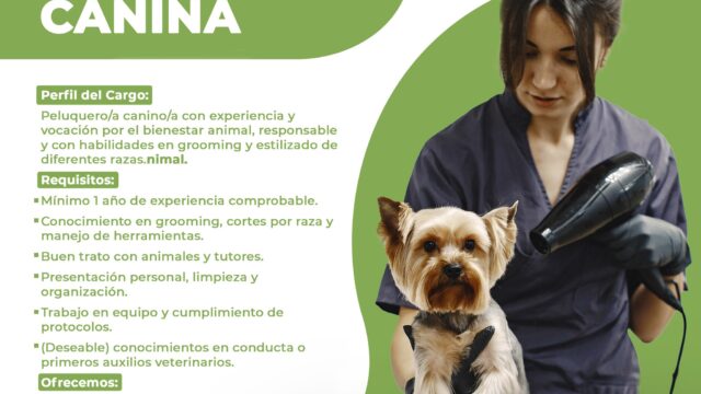 559532999_1334592384921648_7489309108733739229_n