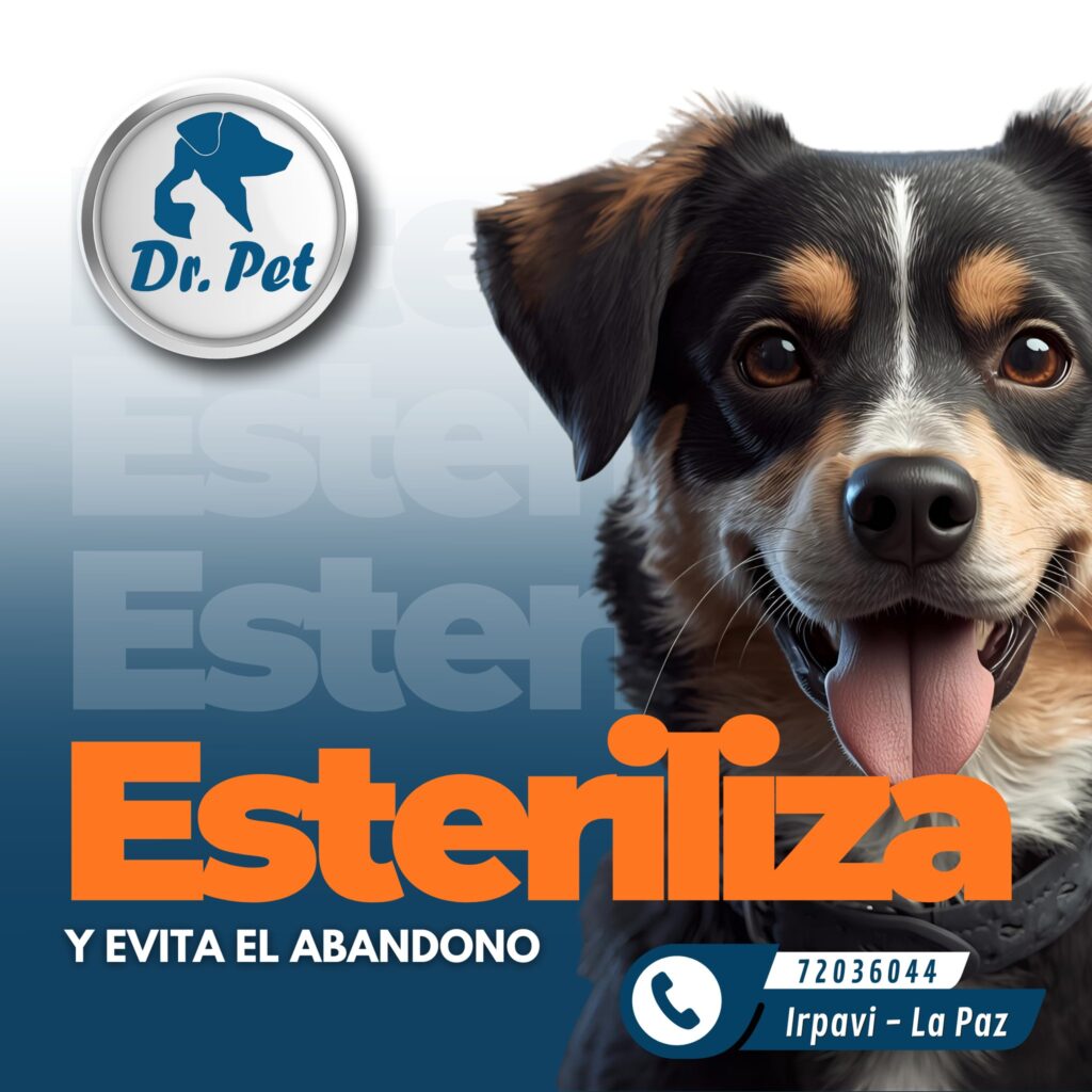 560045055_1525145095994191_5006862087384976827_n