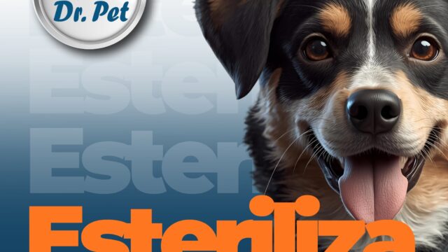 560045055_1525145095994191_5006862087384976827_n