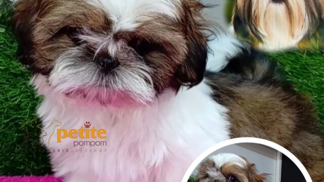 560549746_122141378912644714_6196302647141890907_n