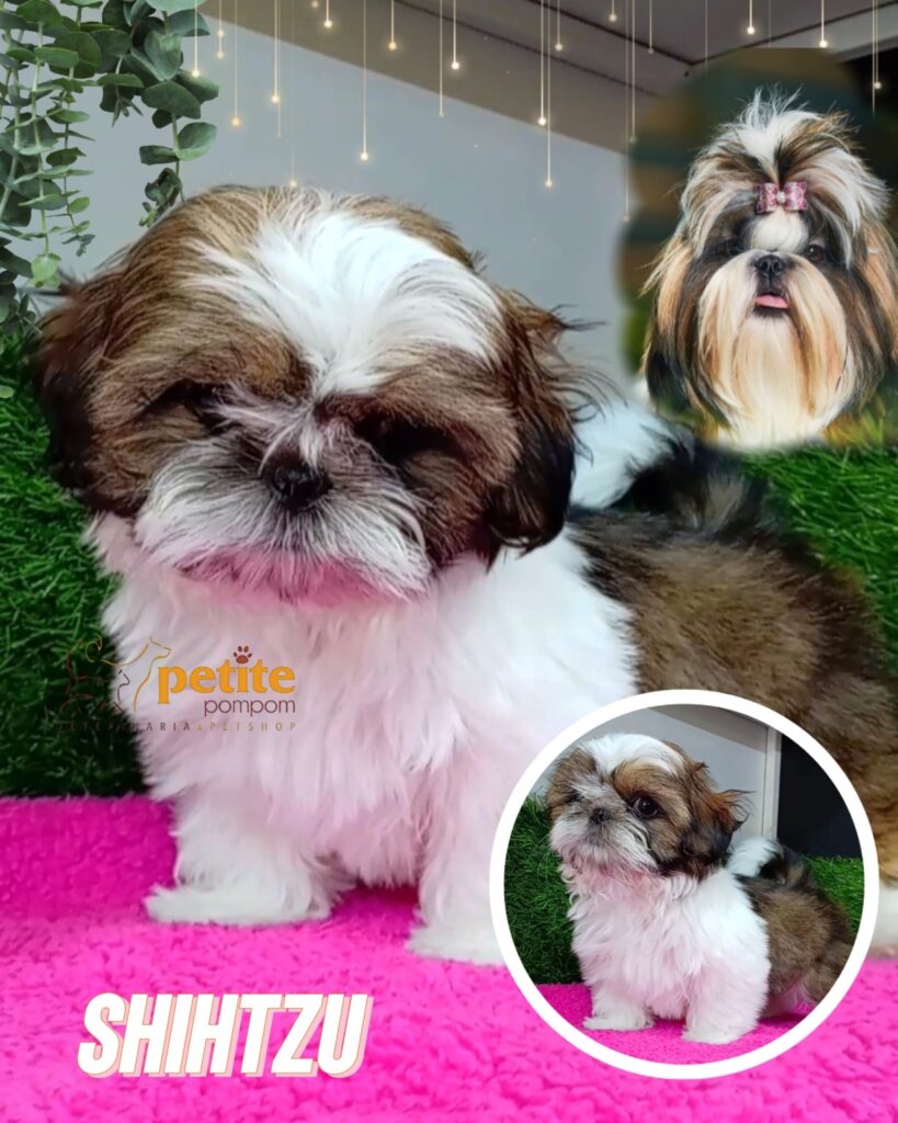 560549746_122141378912644714_6196302647141890907_n