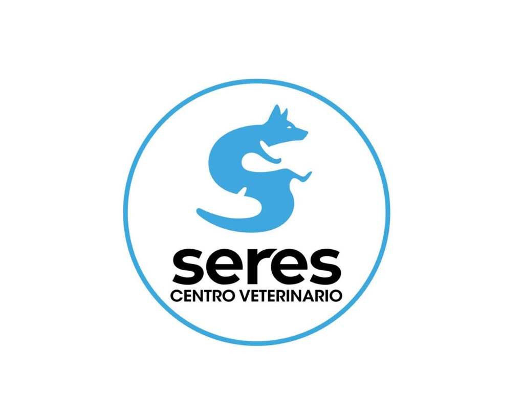 561529817_1409197391213598_6386006749836714007_n