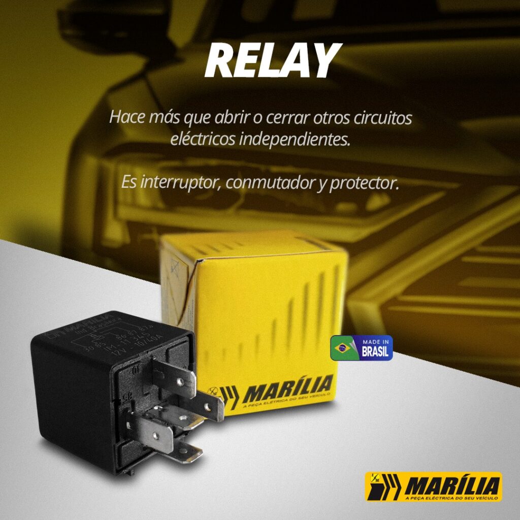 561757731_1278489224313818_804129807295516671_n