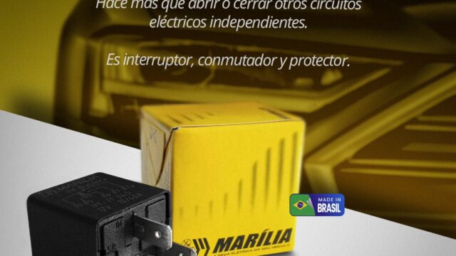 561757731_1278489224313818_804129807295516671_n