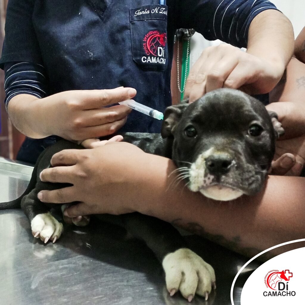 562374316_1358979492685006_6574159525135223999_n