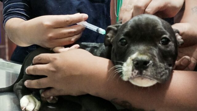 562374316_1358979492685006_6574159525135223999_n