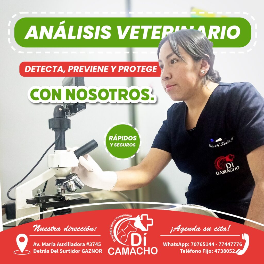 565192037_1360681302514825_7487458371968902475_n