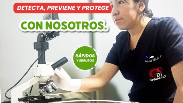 565192037_1360681302514825_7487458371968902475_n