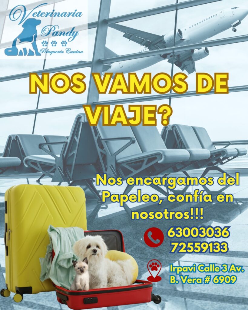 565195543_1326830239234750_598192048719336353_n