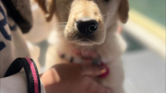 565727689_1338671591380016_7304296946784568712_n