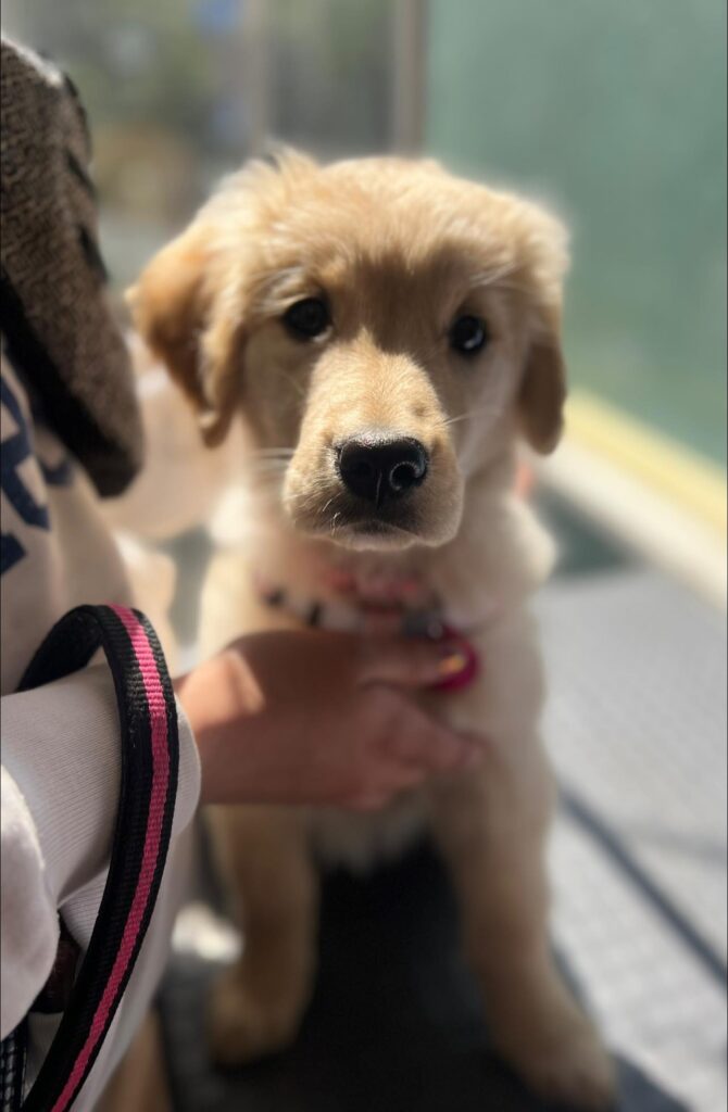 565727689_1338671591380016_7304296946784568712_n