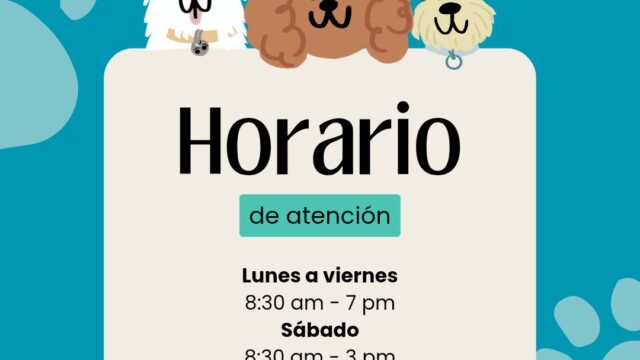 565827575_1420165996783404_7393726001147971783_n