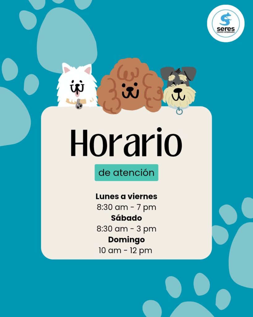 565827575_1420165996783404_7393726001147971783_n