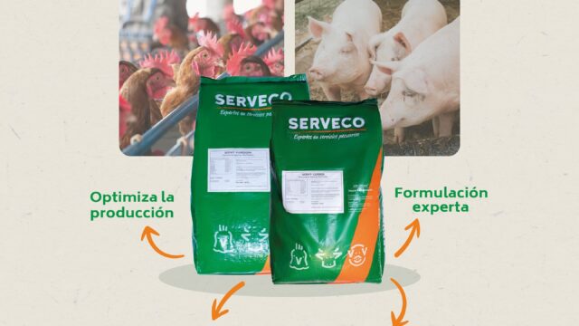 566755518_18075116729125209_3536902055102241686_n