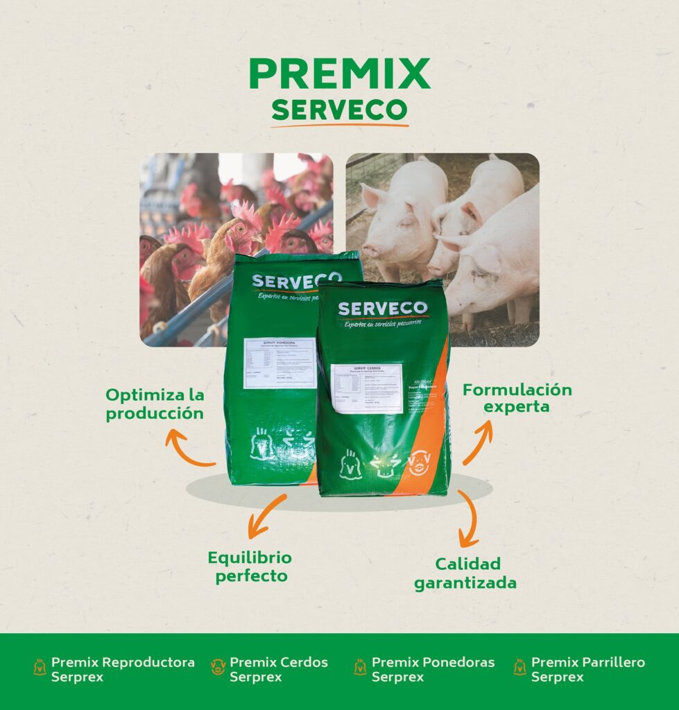 566755518_18075116729125209_3536902055102241686_n