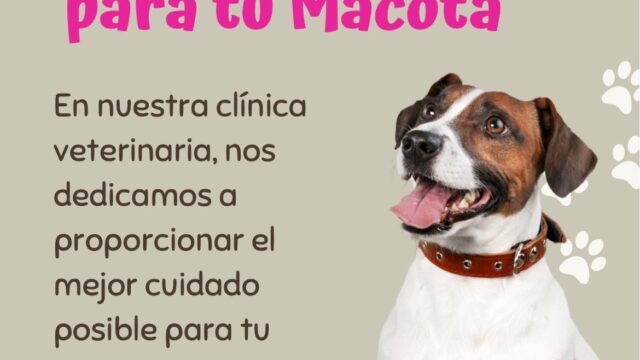 568994884_795196753271276_5391251864393990944_n