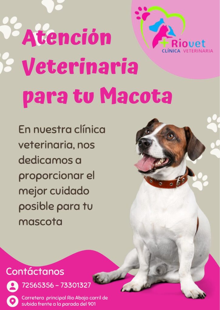 568994884_795196753271276_5391251864393990944_n