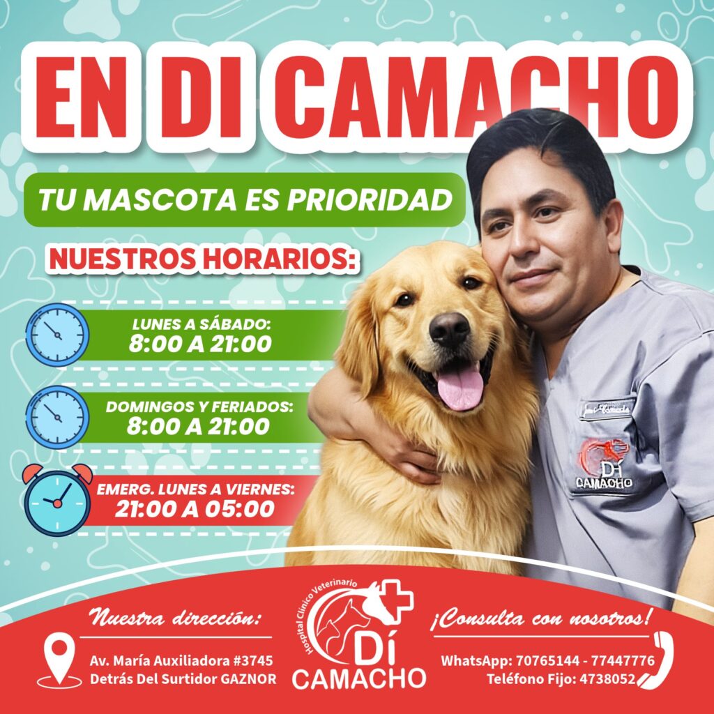 570522040_1366845795231709_1451310532318213404_n