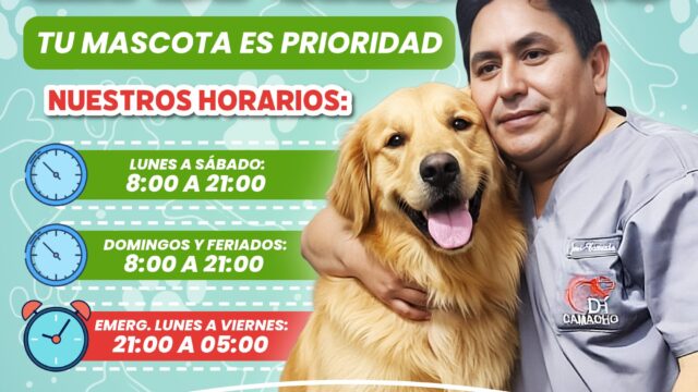 570522040_1366845795231709_1451310532318213404_n