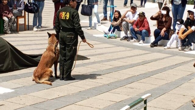 571036456_1333911211859986_8826983164770373450_n